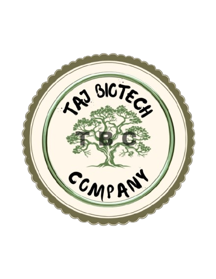 logo-removebg-preview (1)