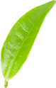 About Png