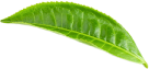 About Png