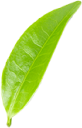 About Png