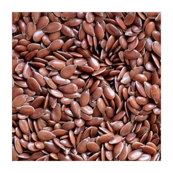 Taj Biotech -  Alsi Seed