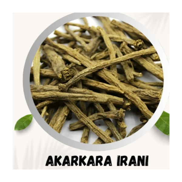 Taj Biotech - Akarkara Irani