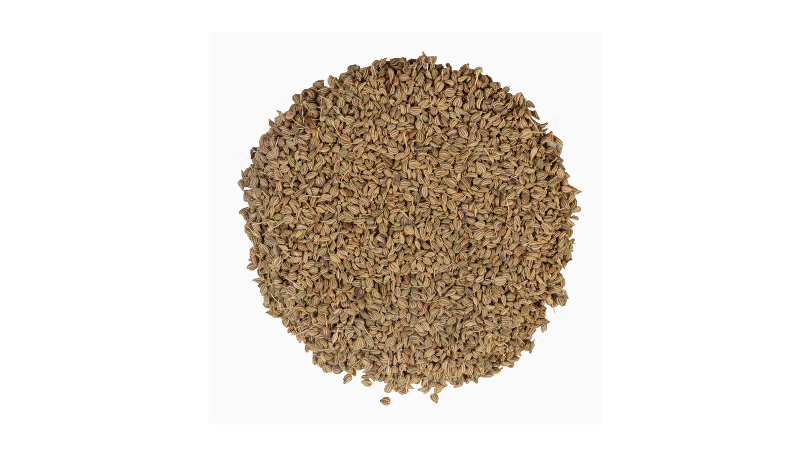 Taj Biotech Ajwain-Desi Barik