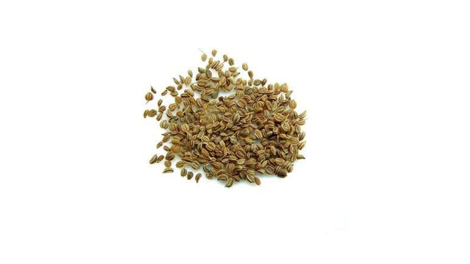 Taj Biotech – Ajmod Seed