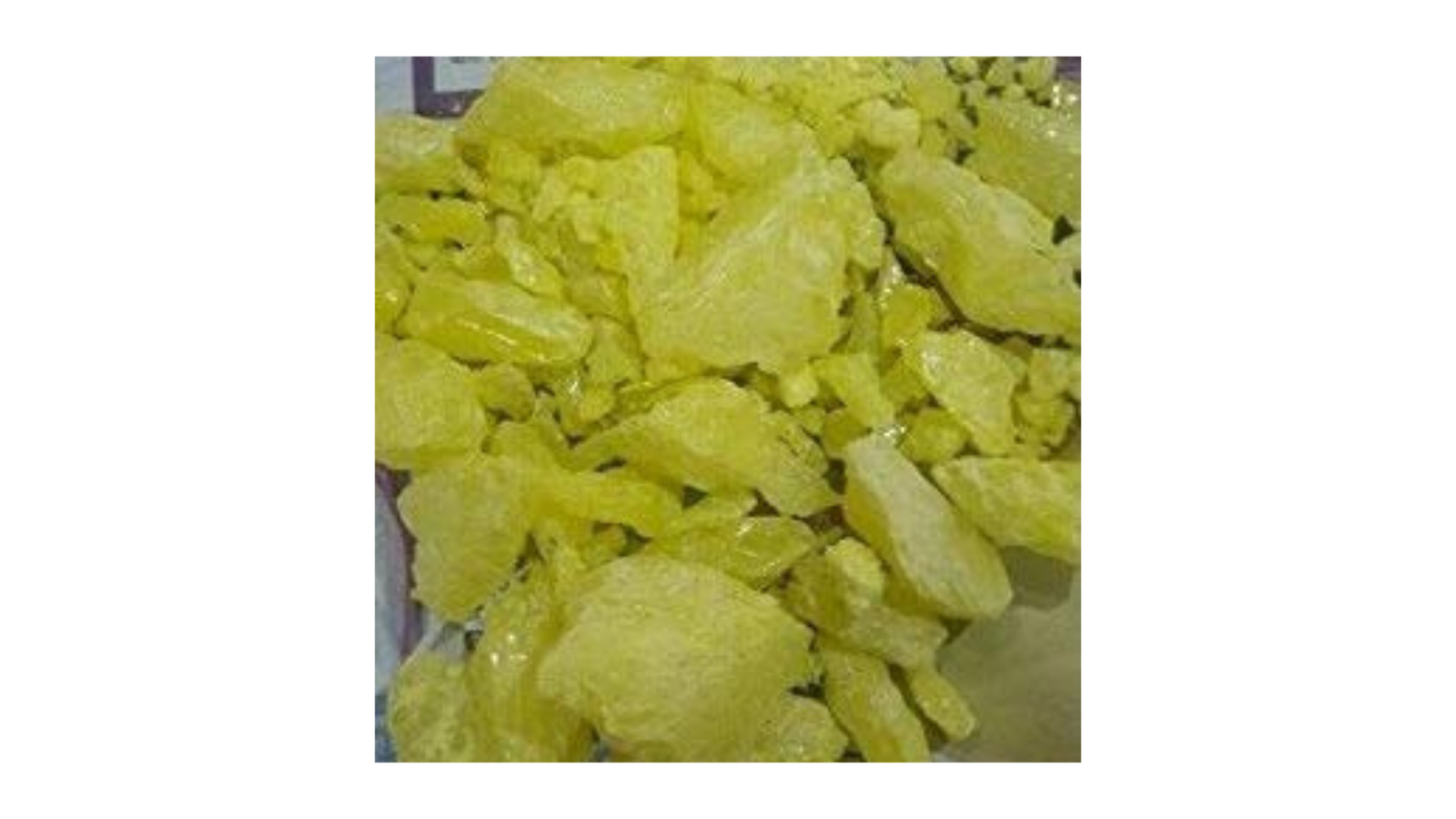 Taj Biotech – Amla Sar