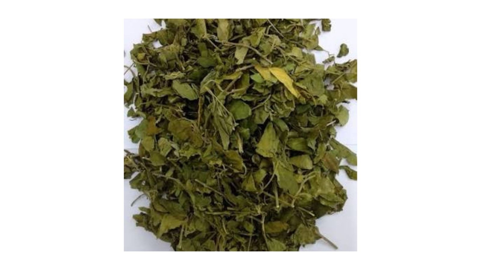 Taj Biotech-Gudmar Leaves 1Kg