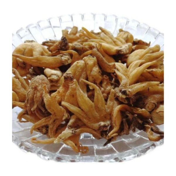 Taj Biotech-Salab Punja Irani 1 Kg