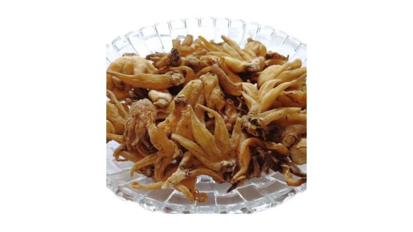 Taj Biotech-Salab Punja Irani 1 Kg
