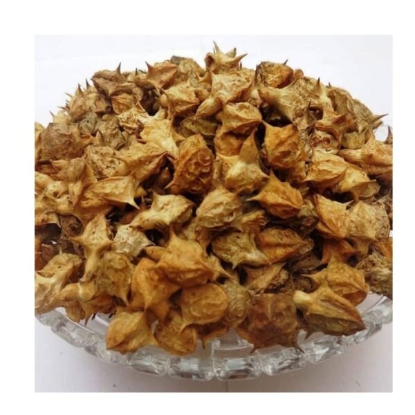 Taj Biotech-Dry Bada Gokhru 1Kg