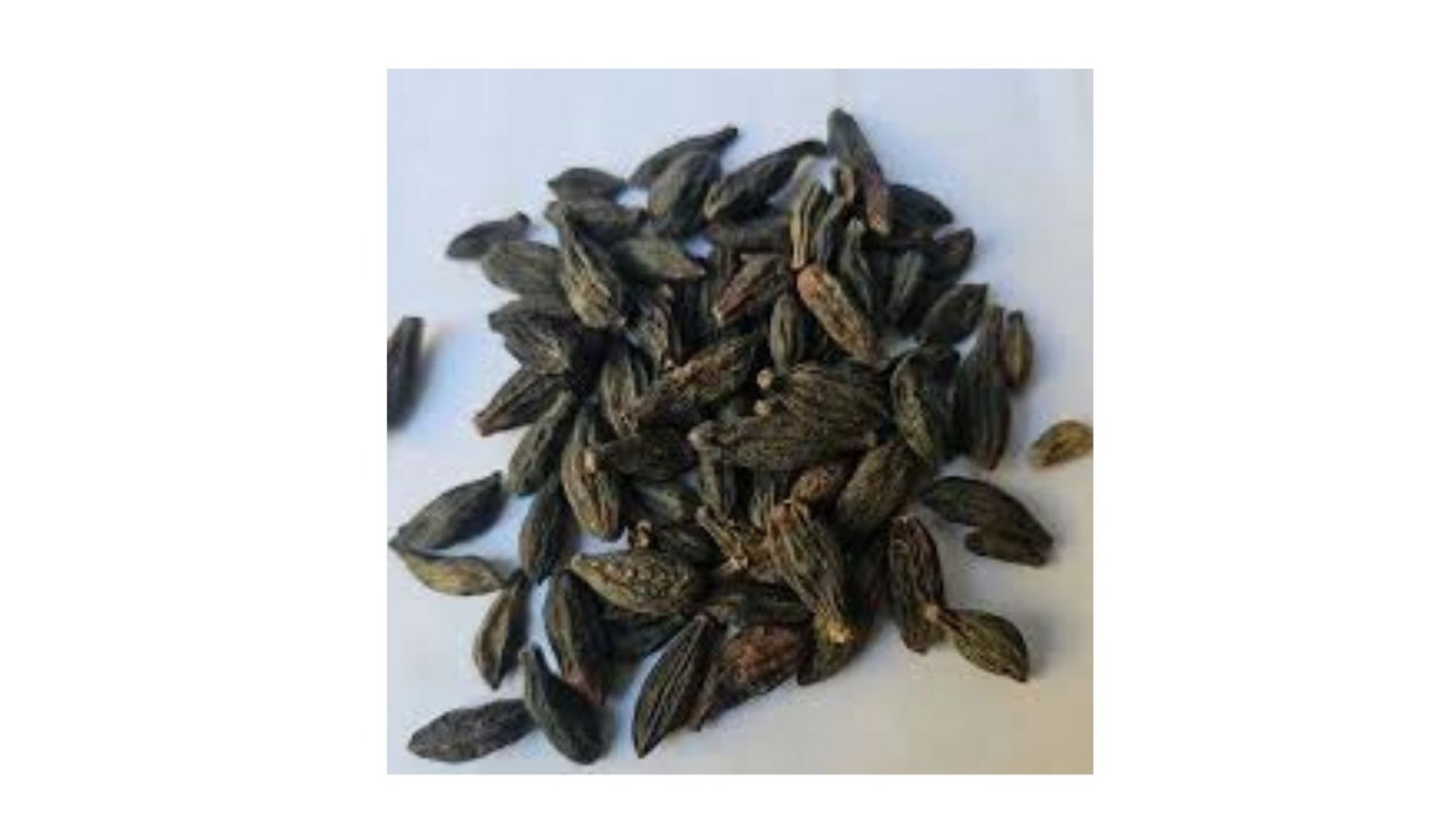Taj Biotech-Choti Harad 1Kg