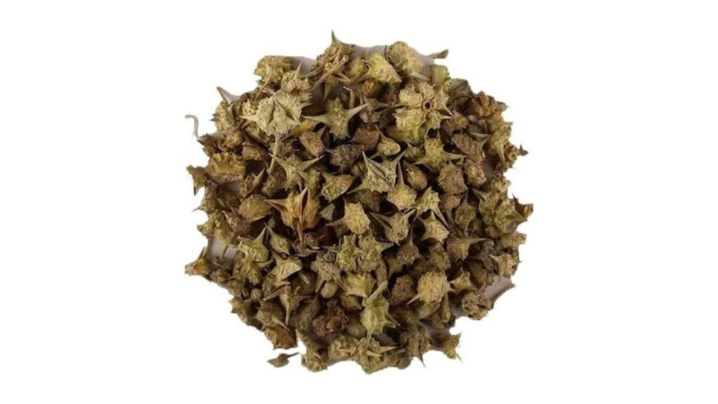 Taj Biotech-Dry Green Gokhru 1Kg