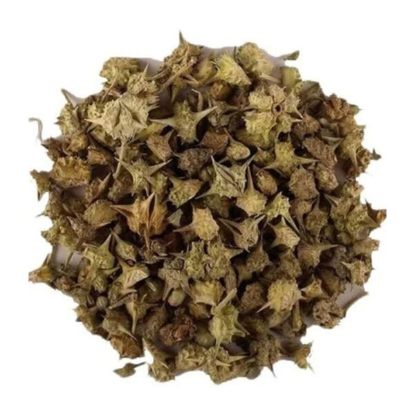 Taj Biotech-Dry Green Gokhru 1Kg