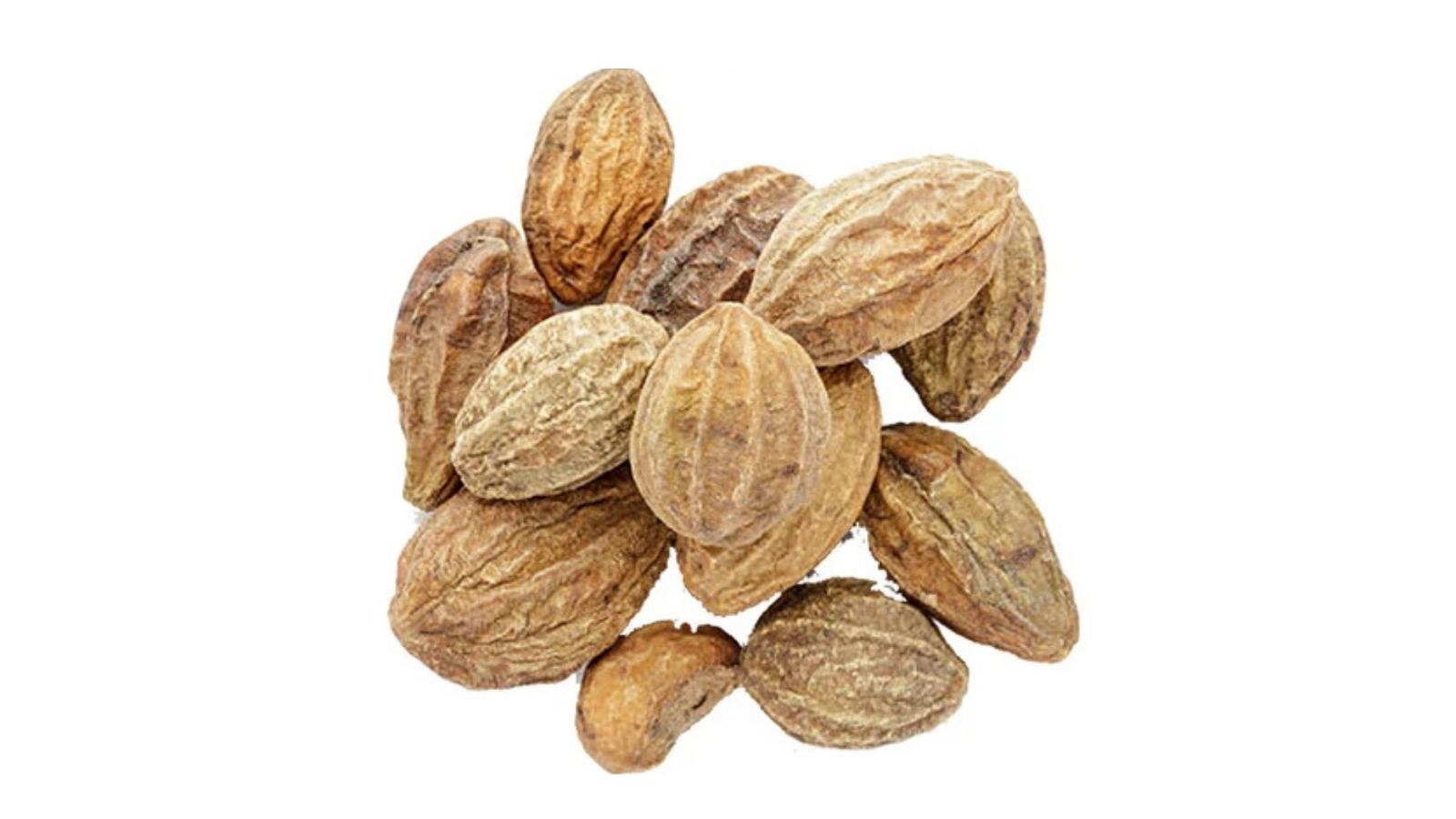 Taj Biotech-Harad Badi 1Kg