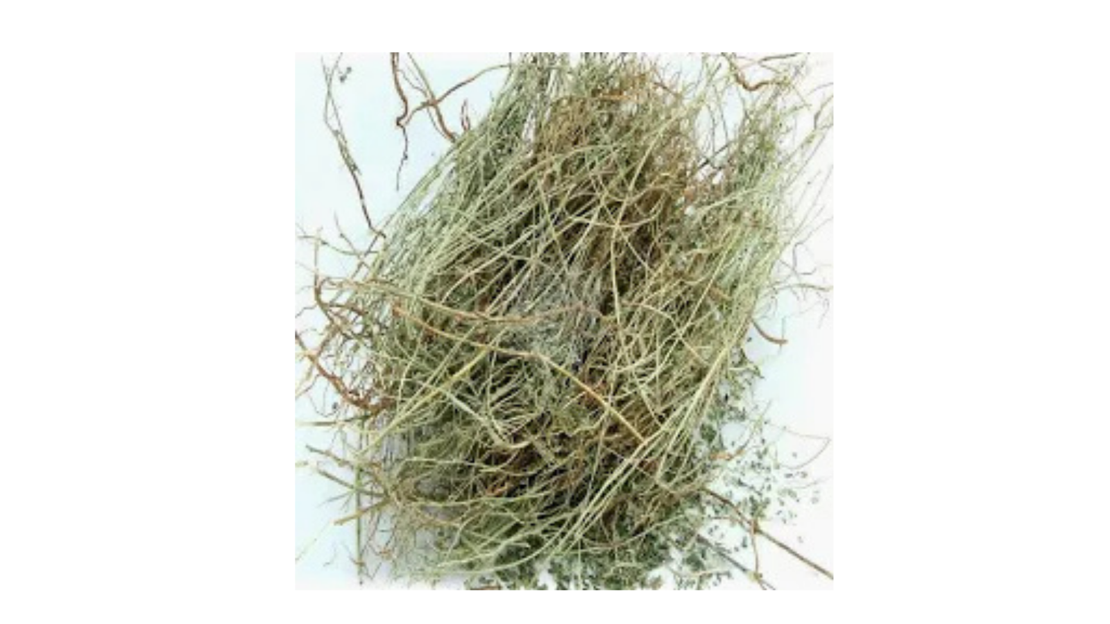 Taj Biotech-Bhumi Amla 1Kg