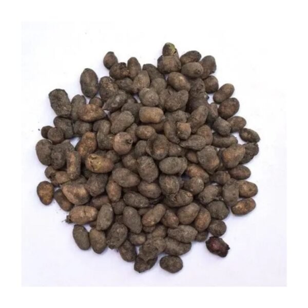 Taj Biotech-Jamun Seeds 1 Kg